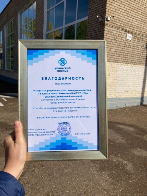 "Люди важнее цветов": спасибо, 11Б! 