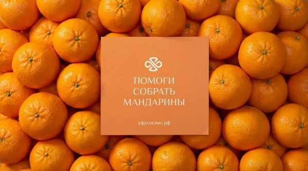 Дари манДАРИны 2026