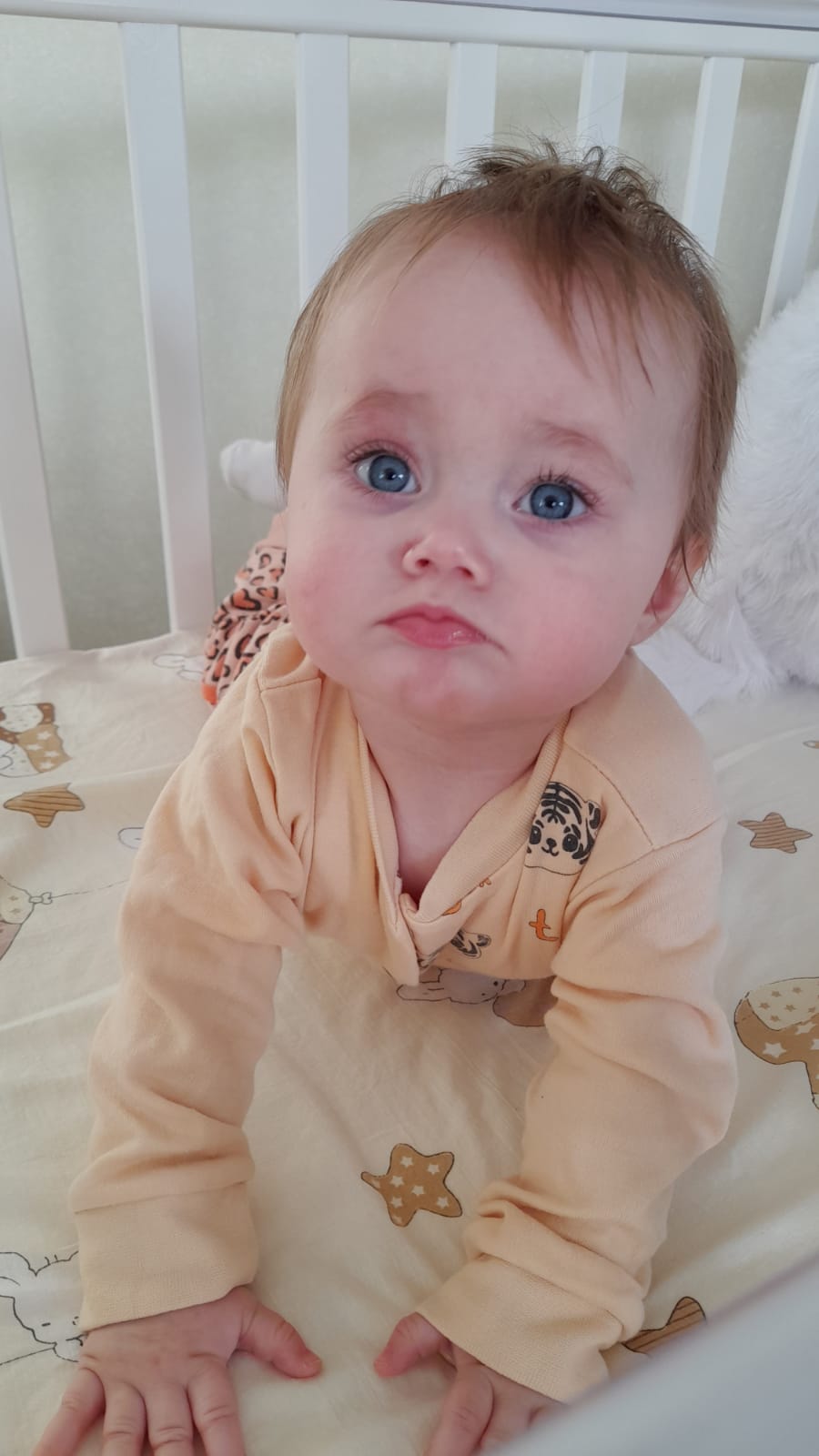 Айсылу Рафикова