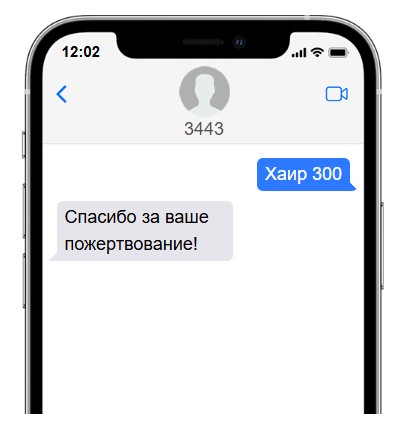 макет телефона.jpg